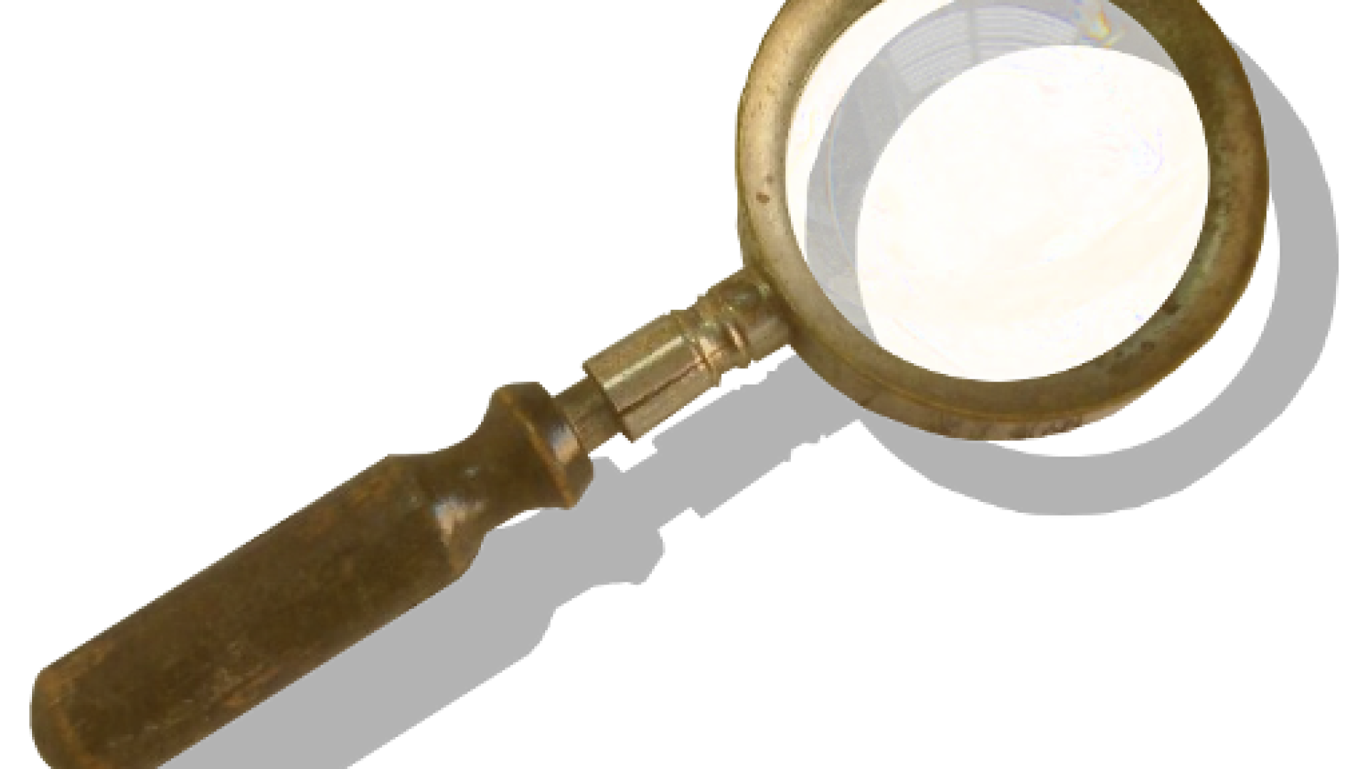 search-icon